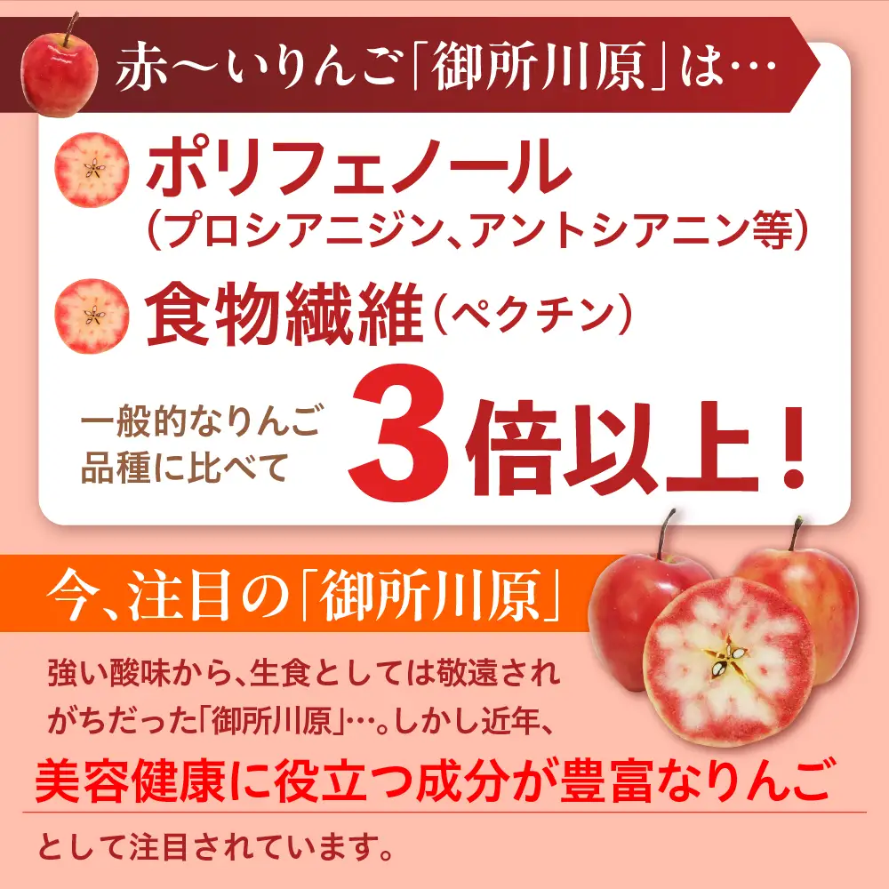 サプリ AKARIN5プロテオグリカンサプリメント 45粒 お試し 15日分 プロテオグリカン ( あおもりPG ) りんごポリフェノール りんごアントシアニン 乳酸菌 りんごの食物繊維 青森 りんご サプリメント 中まで赤～いりんごのサプリメント