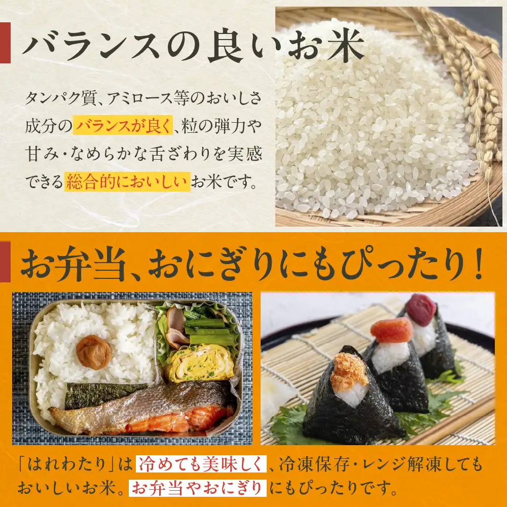 【2026年6月後半発送】米 5kg はれわたり (白米) 5キロ 青森県 五所川原市