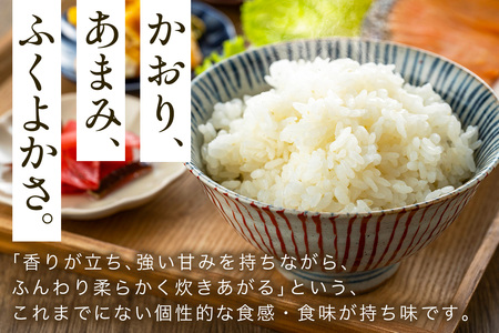 会津若松市産『福、笑い』10kg (5kg×2袋)｜令和7年産 2025年産 福笑い 福わらい ふくわらい お米 こめ コメ 精米 白米 会津産 福島県 ブランド米 [1026]