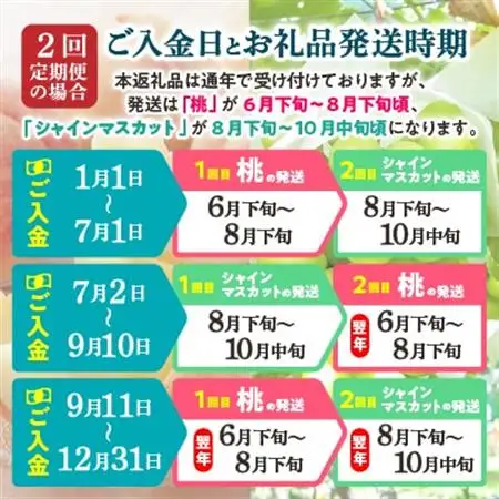 【発送月固定定期便】2026年発送 山梨フルーツ旬の果物 桃+シャインマスカット 全2回_甘いシャインマスカット あまいシャインマスカット 美味しいシャインマスカット おいしいシャインマスカット 人気のシャインマスカット 瑞々しいシャインマスカット _【配送不可地域：離島・沖縄県】【4057484】