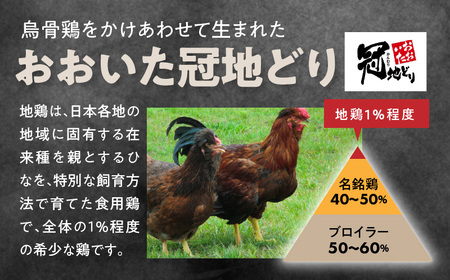 鶏の旨味とニラの香りが食欲をそそる「トリニータ丼キット」1食用×5袋_2474R
