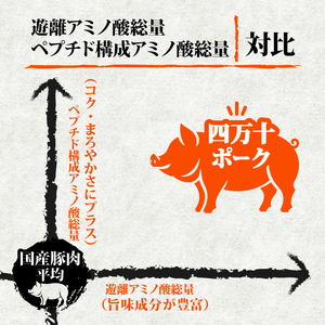 【 豚肉 】 豚肉定期便12ヶ月10.8kg