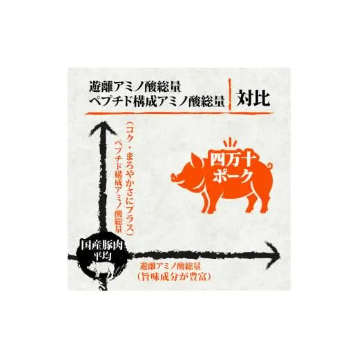 【 豚肉 】 豚肉定期便3ヶ月3.6kg