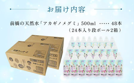 水 ミネラルウォーター 前橋ウィッチーズラベル 500ml 48本 ミネラルウォーター 水