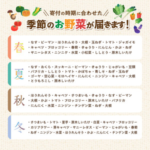 野菜 赤城南麓で育った季節の野菜