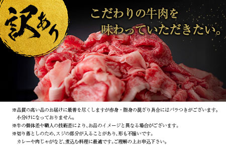 ［訳あり］宮崎黒毛和牛『こゆ牛』切り落とし 計1kg A4等級以上 ブランド牛 宮崎県産 冷凍 和牛 牛肉 国産【B67】