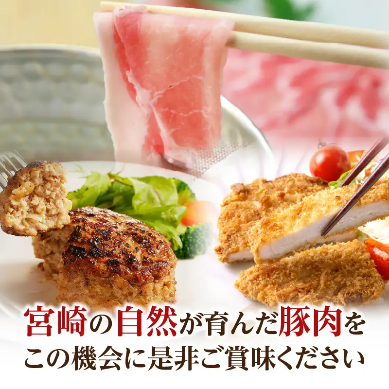 【2週間以内発送】≪宮崎県産≫豚肉6種＼てげスゲーセット／合計4.5kg 肉 豚 豚肉 おかず 国産_T009-0325-2W