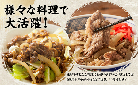 味彩牛 切り落とし 1.5kg（500g×3パック） のぐち産業株式会社《90日以内に出荷予定(土日祝除く)》熊本県 菊池市 牛肉 スライス お肉 精肉 熊本県産 九州産 国産 冷凍 送料無料