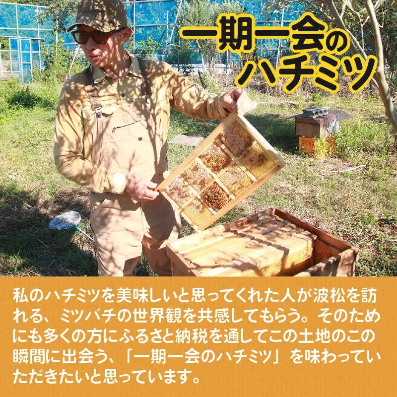 【天然はちみつ】 raw honey あわら蜜 4個 / 非加熱 生産者直送 蜂蜜 ミツバチ 純はちみつ ローヤルゼリー 生はちみつ みつばち [aw101-d001]