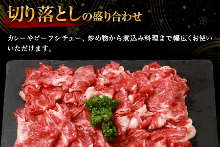 宮崎牛 切り落とし 2kg 宮崎牛 和牛 黒毛和牛 牛肉 精肉 切り落とし肉 TK-96