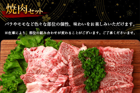 宮崎牛 焼肉セット 600g 宮崎牛 和牛 黒毛和牛 牛肉 焼肉 精肉 モモ肉 バラ肉 TK-97