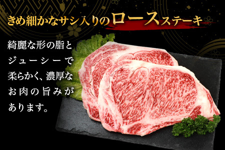 宮崎牛ロースステーキ 400g（200g×2枚） お試しステーキソース付き 宮崎牛 和牛 黒毛和牛 牛肉 ロースステーキ ステーキ肉 精肉 TK-98