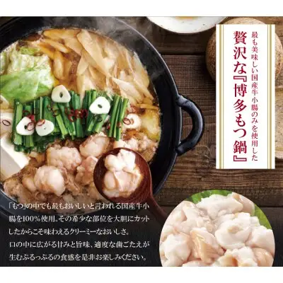 Z82-66 寄附額改定↓↓ やまや ぷるっぷる♪博多もつ鍋セット（あごだし醤油味）3～4人前 もつ鍋