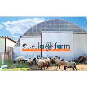北海道産 標茶 羊肉のデミボロネーゼソース　4食セット【 パスタ ボロネーゼソース 肉 にく 羊肉 サフォーク 希少部位 グルメ お取り寄せ 国産 ヘルシー 標茶町 北海道 】