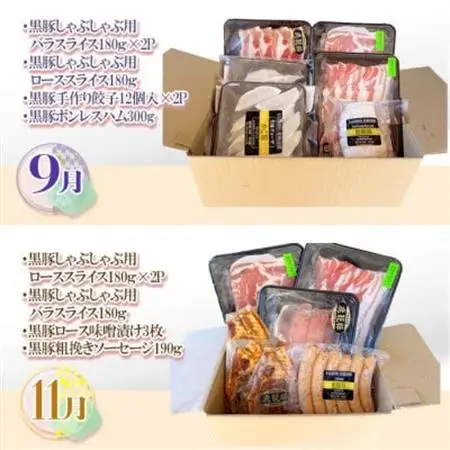 【発送月固定定期便】鹿児島県産黒豚三昧Bセット GG5-0001全6回_肉 ハム 豚肉   肉 しゃぶしゃぶ 牛肉 牛しゃぶ  肉  牛肉   肉 しゃぶしゃぶ 豚肉 豚しゃぶ  肉 ハンバーグ 豚肉   肉 ソーセージ・ウインナー 豚肉   肉  豚肉   惣菜・加工品 餃子  ぎょうざ ギョウザ  定期便 定期便  _【配送不可地域：離島】【4057557】