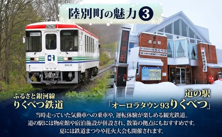 北海道 陸別町 寄附のみ 応援受付 10,000円コース 寄付だけ 返礼品無し 地域応援 支援 支援寄付金 応援金 応援寄付金 地域活性化 寄付 寄附 お礼品無しエール 町づくり 支援金 お礼の品無し 使い道指定