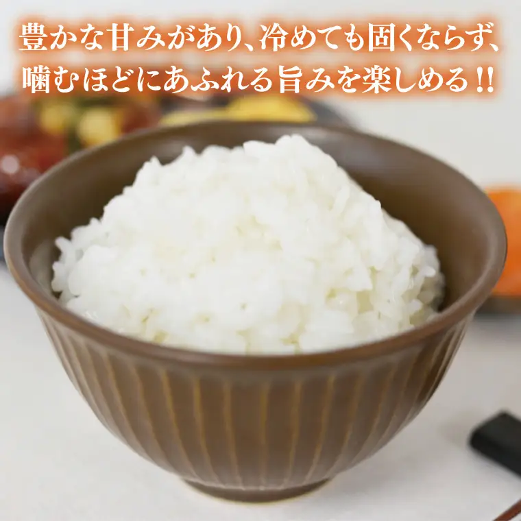 米 令和7年産 とちぎの星 5kg 栃木県産 益子町 AU023-ss