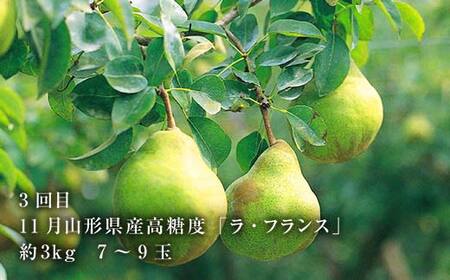 2026年8月発送開始 山形県 至高のフルーツ！山形県秀逸フルーツ定期便 全4回 F4A-0454
