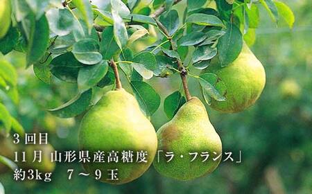 2026年8月発送開始 山形県 至高のフルーツ！山形県秀逸フルーツ定期便 全3回 F4A-0455