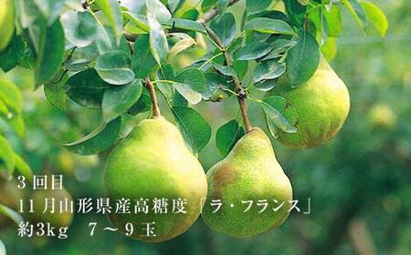 2026年8月発送開始 山形県 至高のフルーツ！山形県極上フルーツ定期便 全3回 F4A-0457