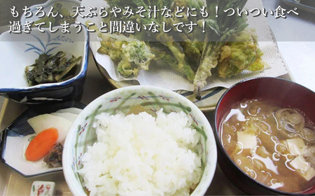 魚沼産コシヒカリ 5kg 共栄農工社 | 新潟県 魚沼 米