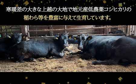 【プロも高評価！】【くびき和牛】 すき焼き用肉 600g にいがた和牛 牛肉 ブランド牛 新潟県産 上越市 深雪の郷・くびき牛