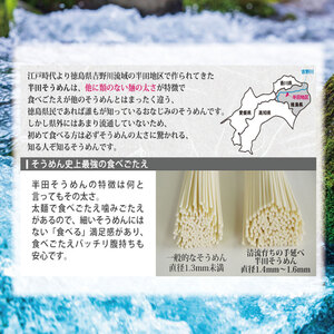 半田 そうめん 手延べ素麺 80g×21束【 そうめん 】