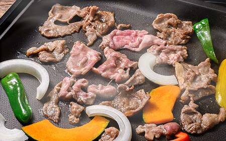 北海道釧路産 羊肉サフォークラム(焼き肉用スライス)250g×2 ひつじ 数量限定 小分け パック BBQ 北海道 F5F-0294