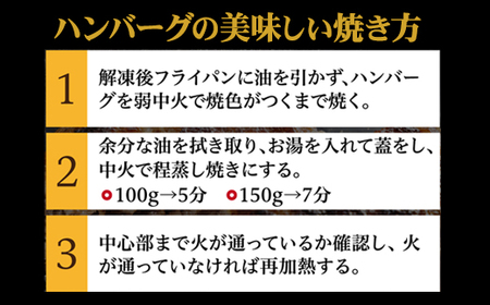 特製 佐賀牛100%ハンバーグ(150gx6個) 計900g B140-027 / 冷凍 おかず 国産 牛肉 ハンバーグ
