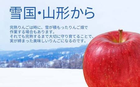 りんご サンふじ ＆ 洋なし ラ・フランス セット 3kg 秀品 ギフト箱入り 山形県産 【令和8年度 先行予約】 FSY-1390