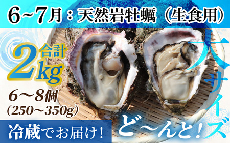【定期便】【年2回】若狭の天然岩牡蠣（生食用）と若狭小浜ブランド 若狭かき（加熱用）2kg×2回 計4kg [BFAO014] 【配送不可地域：北海道・沖縄・離島】 
