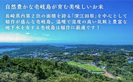 壱岐産米 こしひかり 10kg 《壱岐市》【壱岐市農業協同組合】[JBO145]
