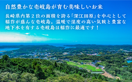 壱岐産 こしひかり 5kg《壱岐市》【壱岐市農業協同組合】[JBO147] 米 お米
