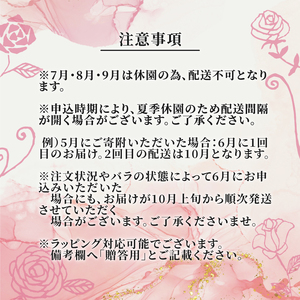 【3ヶ月定期便】 バラ 花束 ブーケ 朝摘み 薔薇 花 ばら パフューム ローズ 生花 ギフト 花 プレゼント 祝い 母の日 卒業式 贈り物 贈答 記念日 香り 静岡県 藤枝市 | バラ バラ バラ バラ