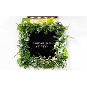 チーズケーキ【10個入り】＆モエルーショコラ“ゴリラ”【10個入り】【菓子 おかし スイーツ デザート 食品 人気 おすすめ 】