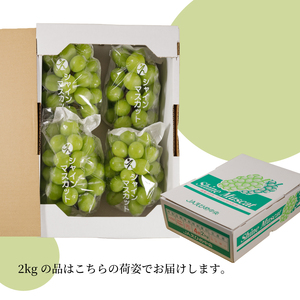 【先行予約 2026年8月下旬から発送】 シャインマスカット 2kg ( 4房 または 5房 ) 秀品 | 【シャインマスカット】【SSK013】