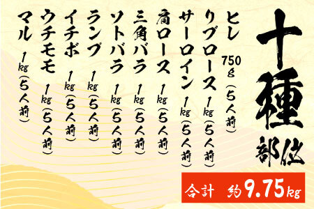 飛騨牛豪快50人前！ 飛騨牛 部位選別 関脇セット 五十人前 計9.75kg A5等級 すき焼き しゃぶしゃぶ ステーキ 焼肉 BBQ ヒレ サーロイン 肩ロース 三角バラ ソトバラ ランプ イチボ ウチモモ マル 贅沢 飛騨 ブランド牛 牛肉 高級 贅沢 ご褒美 養老ミート