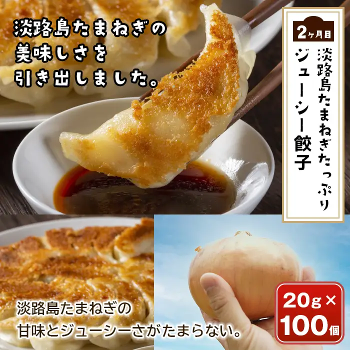 【定期便3ヶ月】今井ファームの冷凍食品ごちそう定期便 《ハンバーグ・餃子・牛丼の具》
