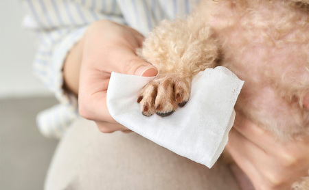 ペット ウェットティッシュ ペット用トイレに流せるウェットティッシュ NPWT アイリスオーヤマ 72枚入×10パック ノンアルコール クリーンペットケア ペット用ウェットシート