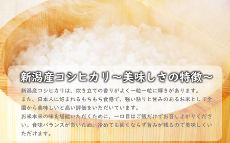 こしひかり 新潟産 コシヒカリ 10kg 毎月6回 連続でお届けします。定期便 米 お米 こめ コメ ごはん 新潟 白米 コシヒカリ ブランド米 銘柄米 お取り寄せ 産地直送 