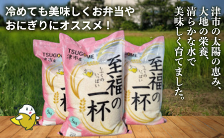 至福の一杯 5kg 令和7年産 米 お米 ご飯 飯 精米 津市 三重県 新品種