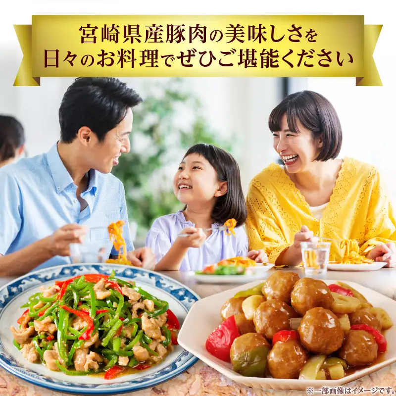 豚肉 バラエティセット 豚肉[宮崎県産 肩ロース 切り落とし ミンチ 5kg サイコロステーキ・とんかつ・生姜焼き・しゃぶしゃぶ・焼肉等]