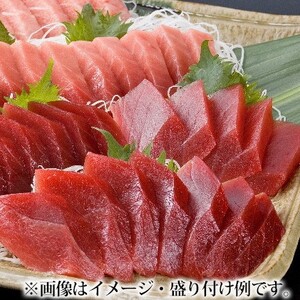 上物マグロ 天然2種 500g以上 まぐろ【oo-001】