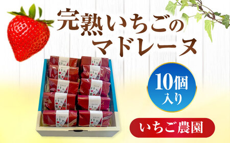 いちごのマドレーヌ いちご農園 10個入 マドレーヌ【配達不可：離島】[AEAU006]
