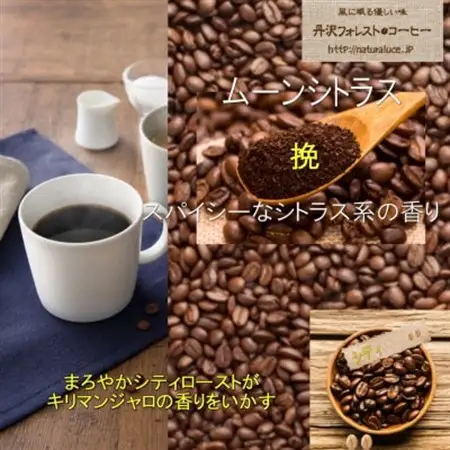丹沢フォレスト甘味焙煎珈琲豆(挽) 3種_飲料・ドリンク 粉 コーヒー・コーヒー豆 珈琲 珈琲豆_【1550909】