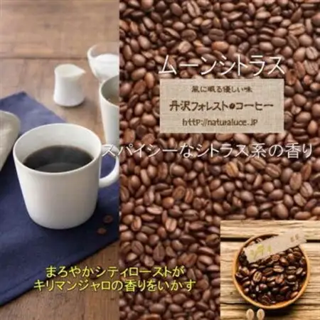丹沢フォレスト甘味焙煎珈琲豆 5種_飲料・ドリンク コーヒー豆 コーヒー・コーヒー豆 珈琲 珈琲豆_【1550950】