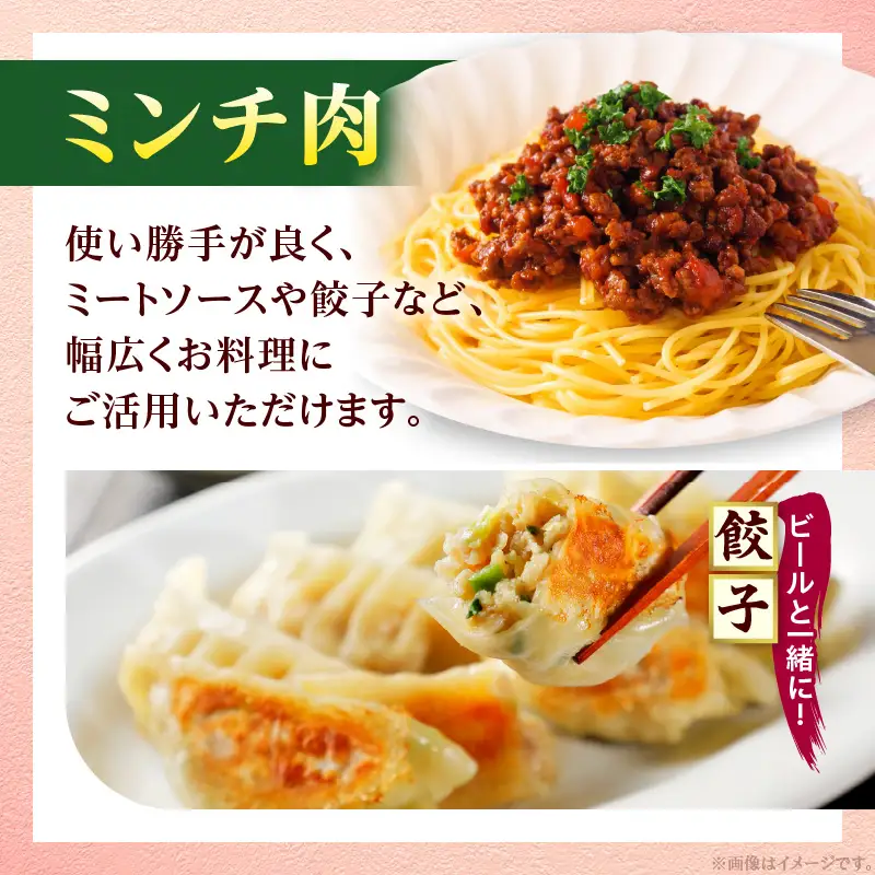 豚肉 切り落とし 豚肉[宮崎県産 ミンチ セット 5.5kg 500g×11P]