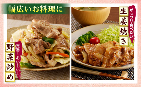 宮崎県産豚肉 切り落とし4.5kg スライス 小分け 国産