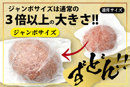 ビッグサイズ！くまもと 黒毛和牛 《 DREAMジャンボバーグ 500g×3パック 計1.5g 》 牛肉 100％ 国産 生 ボリューム ハンバーグ お祝い パーティ 熊本 ブランド牛 黒毛 和牛 上質 はんばーぐ 惣菜 熊本県 113-0509