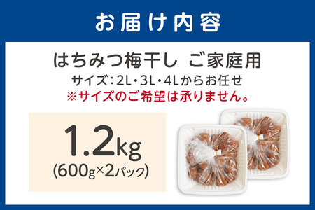 【1182-1】【ご家庭用】はちみつ梅干し 1.2kg（紀州南高梅） 和歌山県産